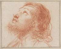 H 084
<br/>
Kop van jonge man met baard, opziend naar links
<br/>
<em>Guercino (1591-1666)</em>